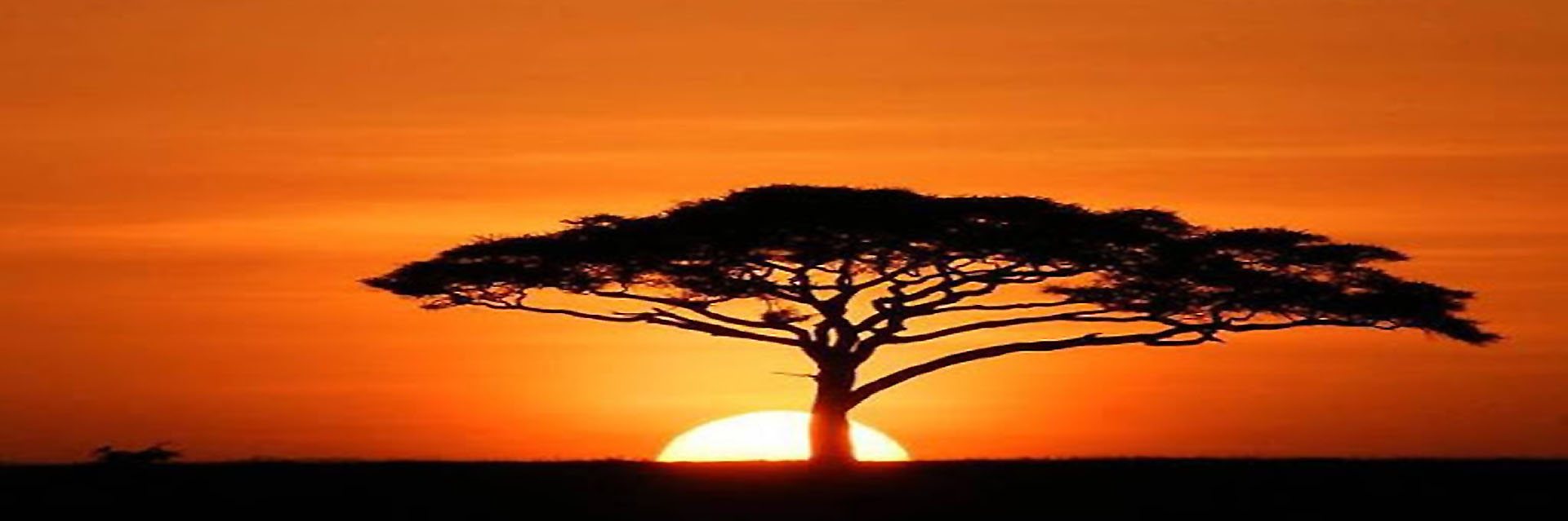 Tanzania_Zanzibar_Beach