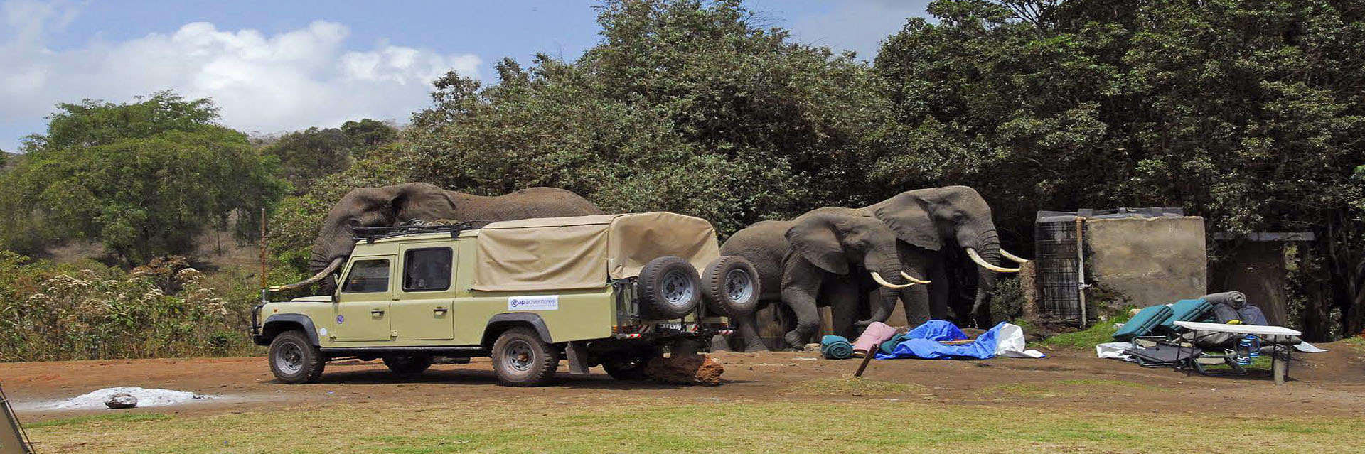 Safari Tanzania